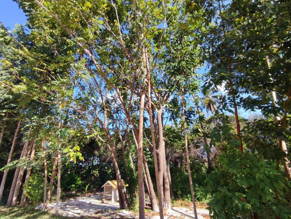 Casa Nova 2 Villa Sao Jose da Coroa Grande Bagian luar foto